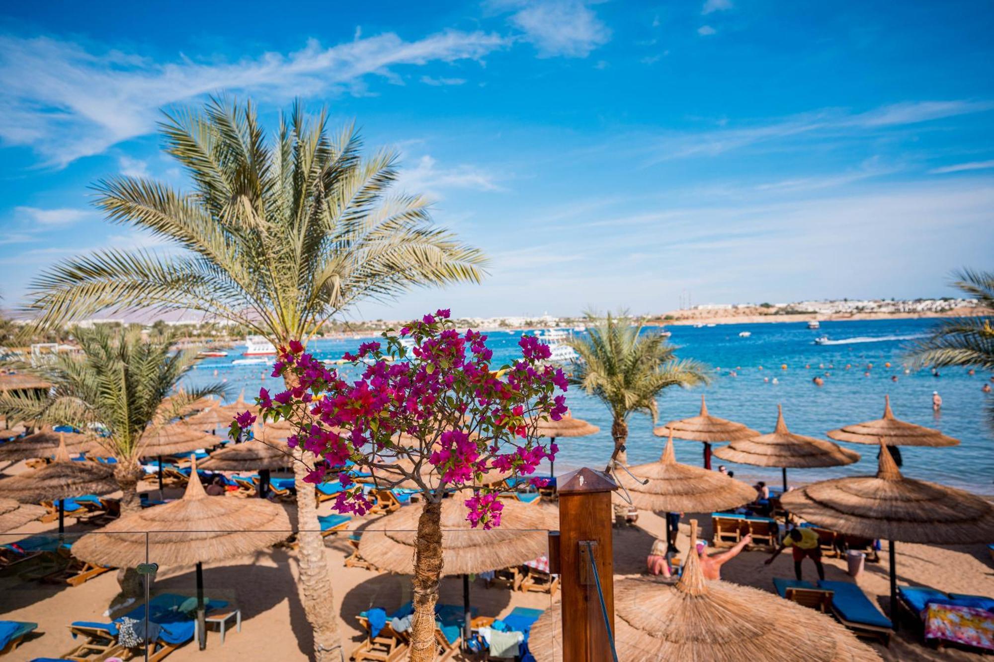 Marina Sharm Hotel Sharm El Sheikk Exterior foto